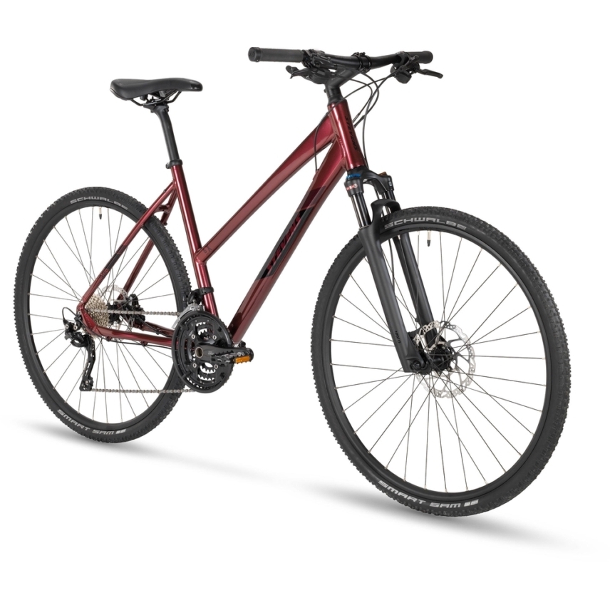 6X-Lady-23-50-Cosmos-Violet-angled-MY23-2