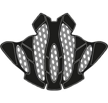 616v6v7qJLL-AC-SX679-