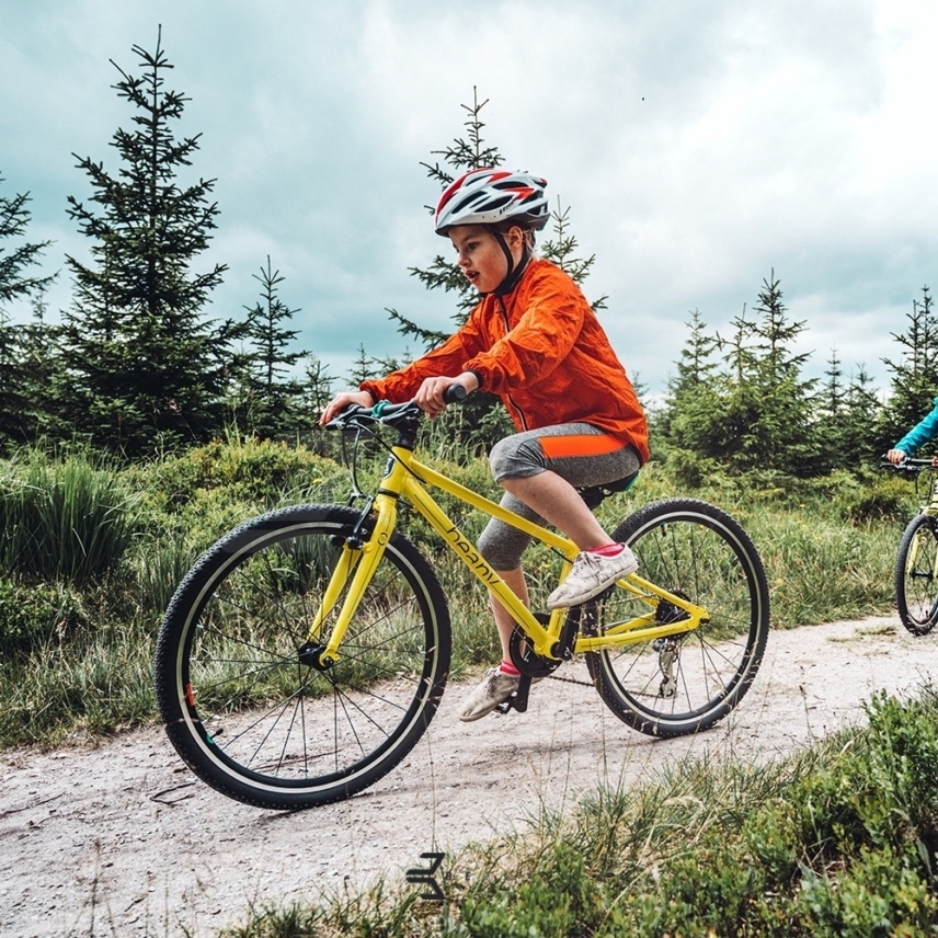 beany-24-kollane-12-1