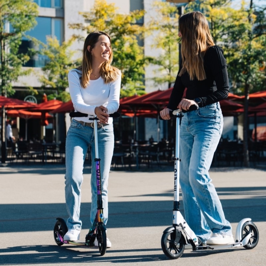 large-Micro-Classic-Mixed