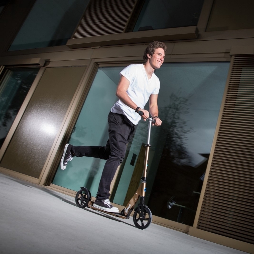 large-Micro-Suspension-Bronze-7