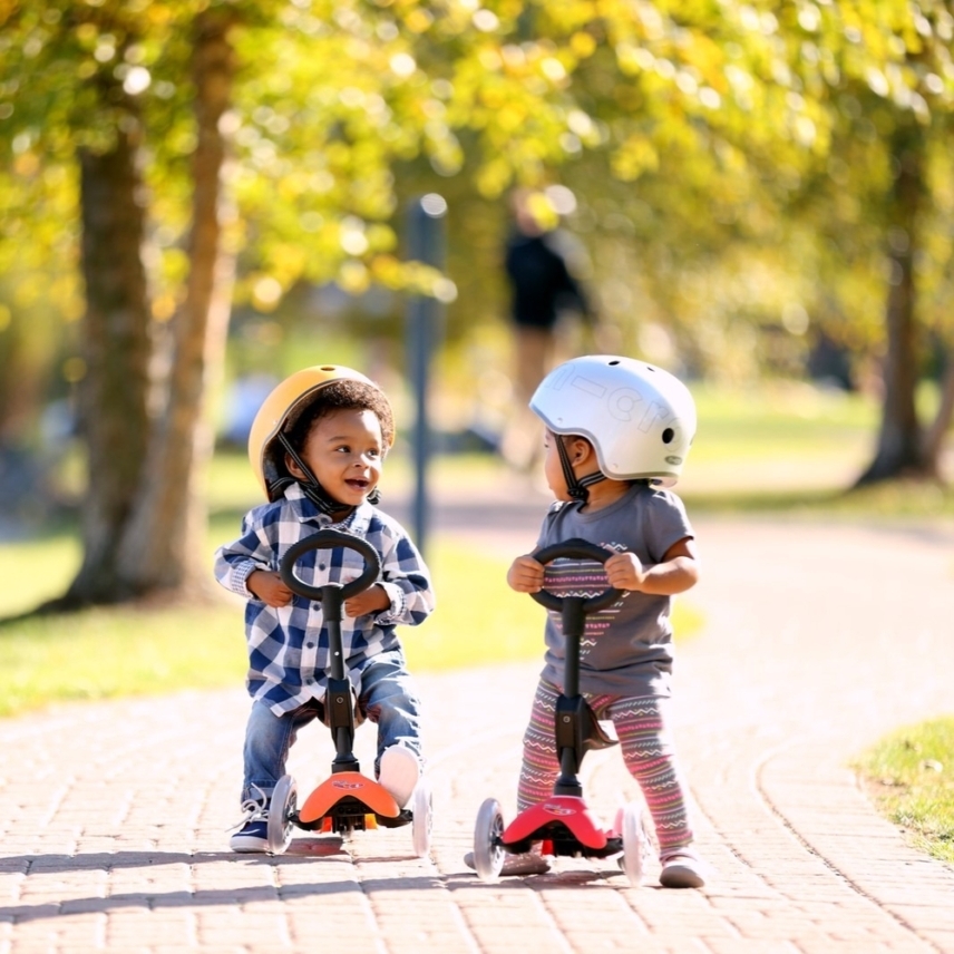 large-Mini-Micro-3in1-Deluxe-Mixed