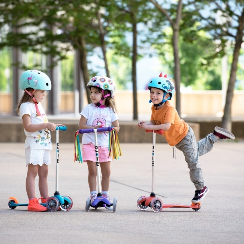 large-Mini-Micro-Classic-Mixed-2-2